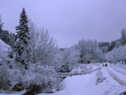Sniedziņā, 20.01.2011., foto Anita Jaunzeme
