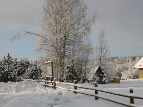 Sniegoti, ziemīgi, 23.01.2011., foto Anita Jaunzeme